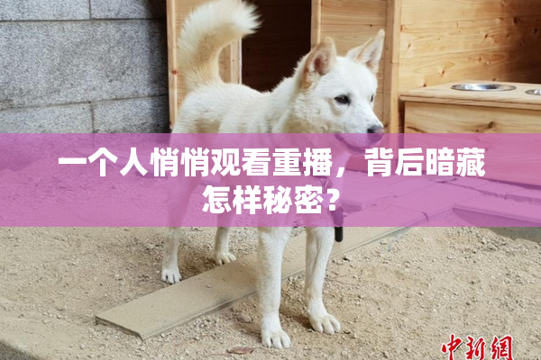 一个人悄悄观看重播，背后暗藏怎样秘密？