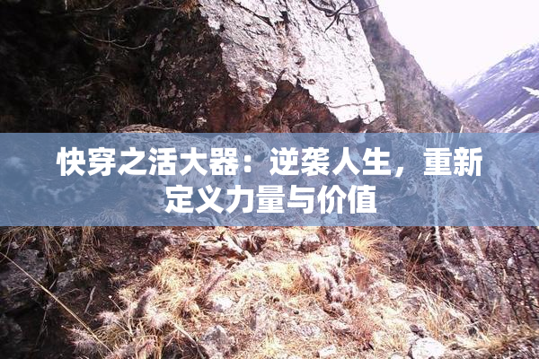 快穿之活大器：逆袭人生，重新定义力量与价值
