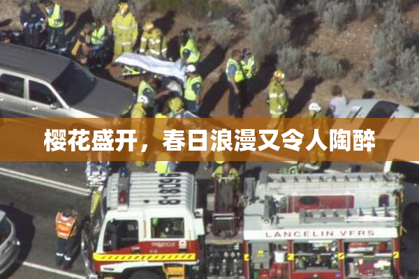 樱花盛开，春日浪漫又令人陶醉