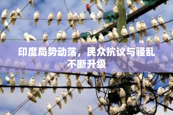 印度局势动荡，民众抗议与骚乱不断升级