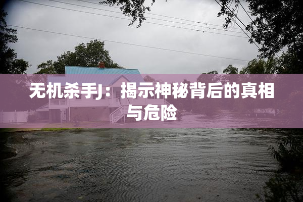 无机杀手J：揭示神秘背后的真相与危险
