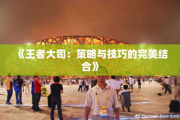 《王者大司：策略与技巧的完美结合》