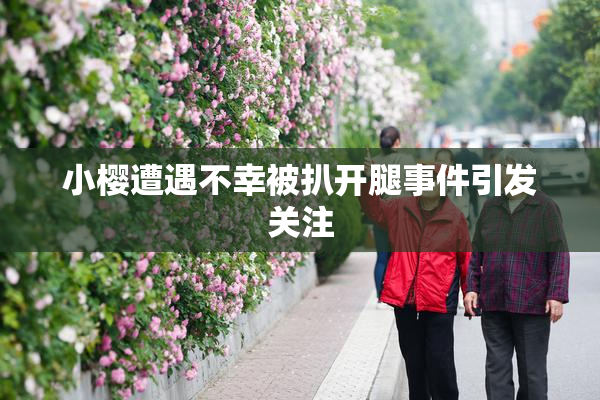 小樱遭遇不幸被扒开腿事件引发关注