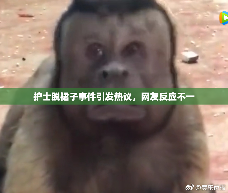 护士脱裙子事件引发热议，网友反应不一