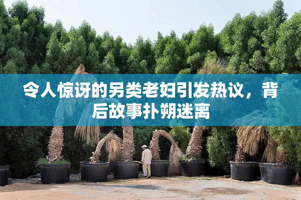 令人惊讶的另类老妇引发热议，背后故事扑朔迷离