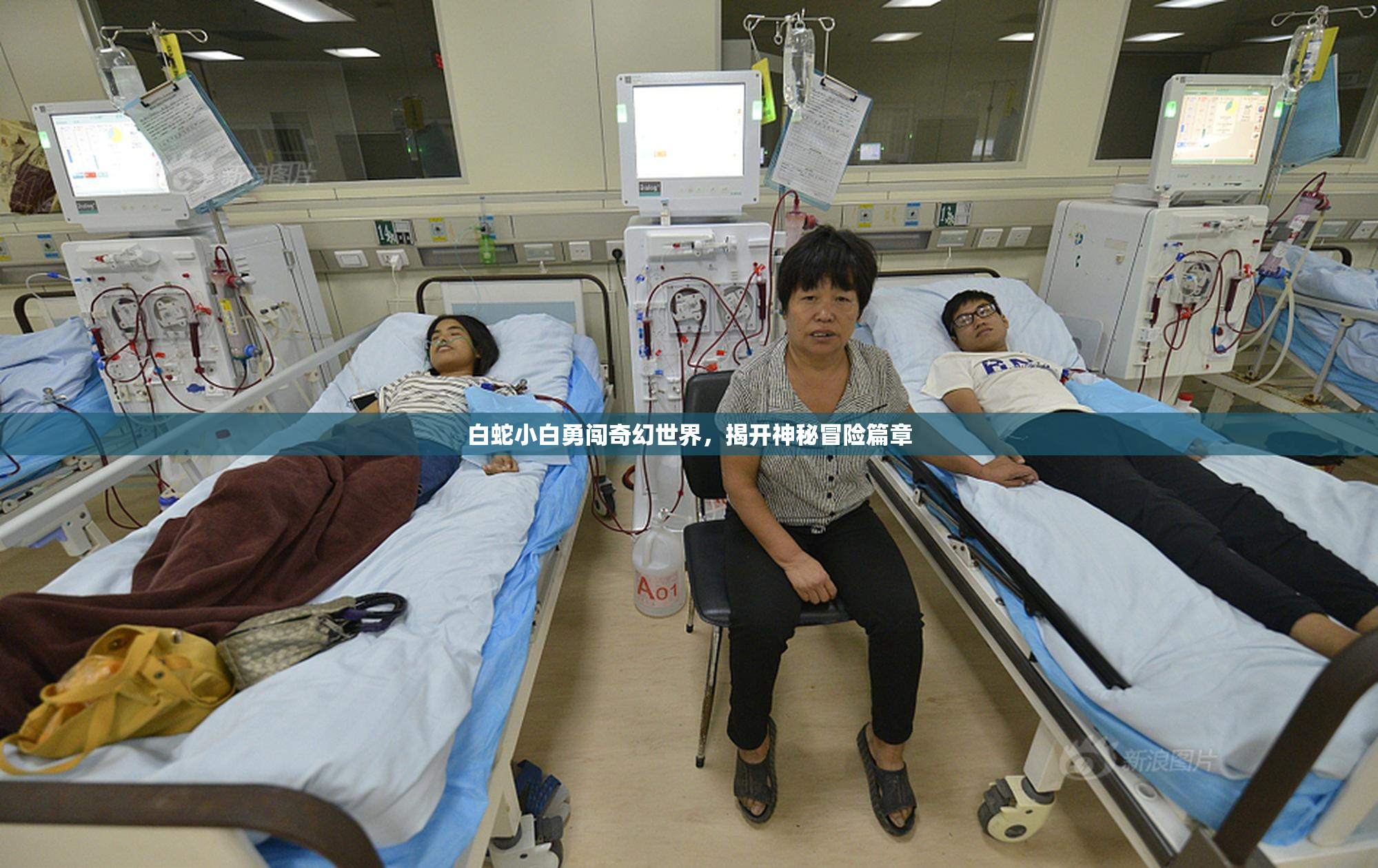 白蛇小白勇闯奇幻世界，揭开神秘冒险篇章