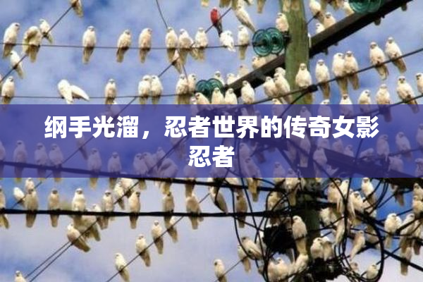 纲手光溜，忍者世界的传奇女影忍者