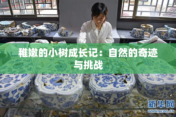 稚嫩的小树成长记：自然的奇迹与挑战