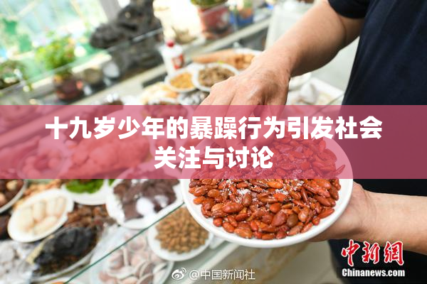 十九岁少年的暴躁行为引发社会关注与讨论