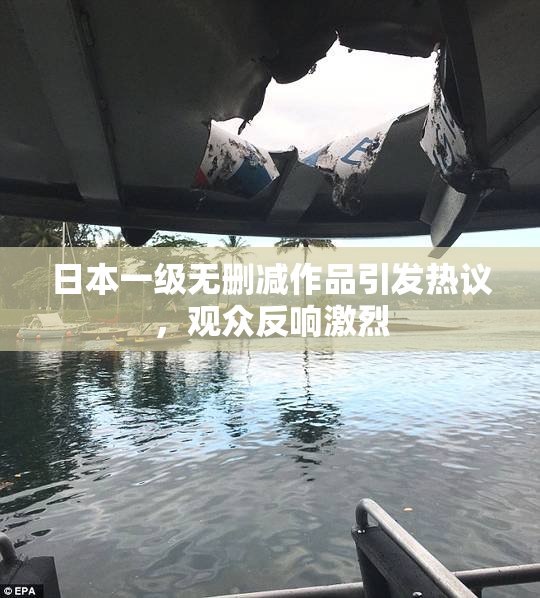 日本一级无删减作品引发热议，观众反响激烈