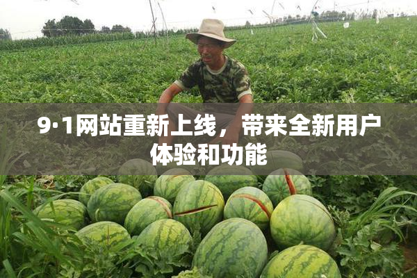9·1网站重新上线，带来全新用户体验和功能