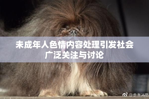 未成年人色情内容处理引发社会广泛关注与讨论