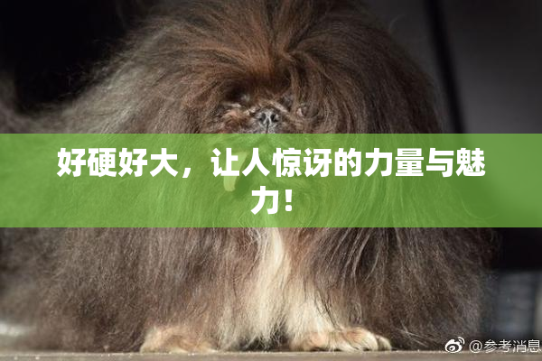 好硬好大，让人惊讶的力量与魅力！