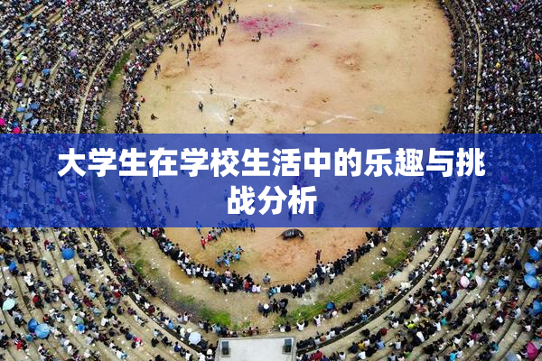 大学生在学校生活中的乐趣与挑战分析