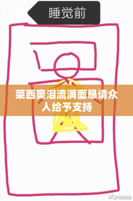 菜西奥泪流满面恳请众人给予支持