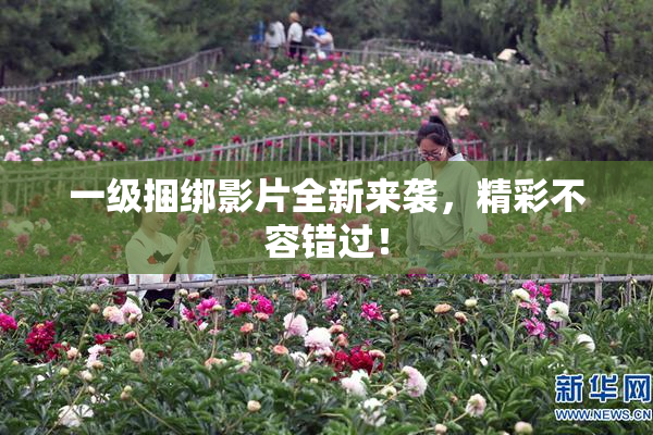 一级捆绑影片全新来袭，精彩不容错过！