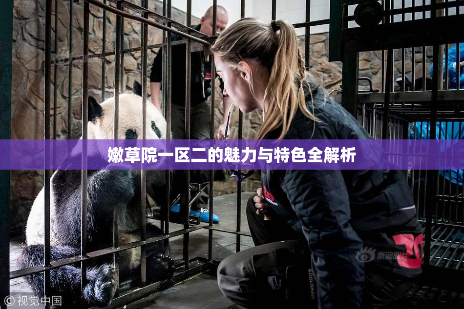 嫩草院一区二的魅力与特色全解析