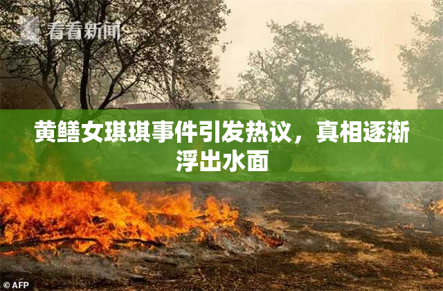 黄鳝女琪琪事件引发热议，真相逐渐浮出水面