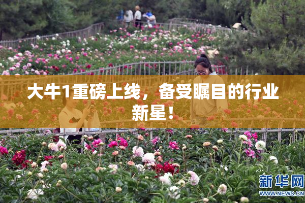 大牛1重磅上线，备受瞩目的行业新星！