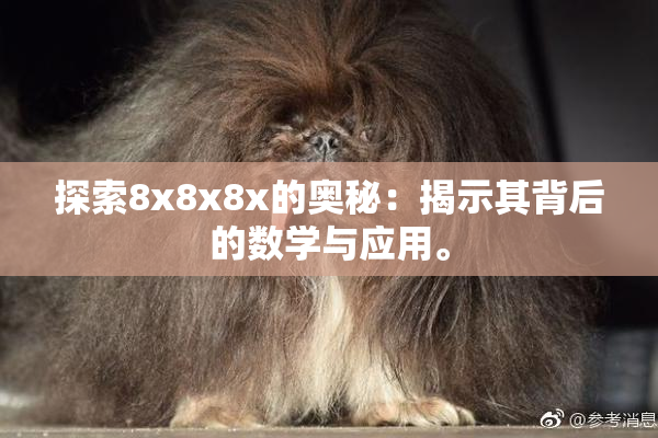 探索8x8x8x的奥秘：揭示其背后的数学与应用。