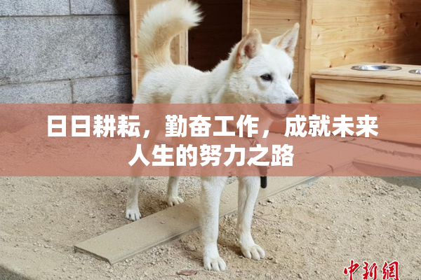 日日耕耘，勤奋工作，成就未来人生的努力之路
