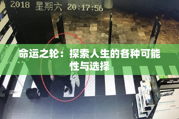 命运之轮：探索人生的各种可能性与选择