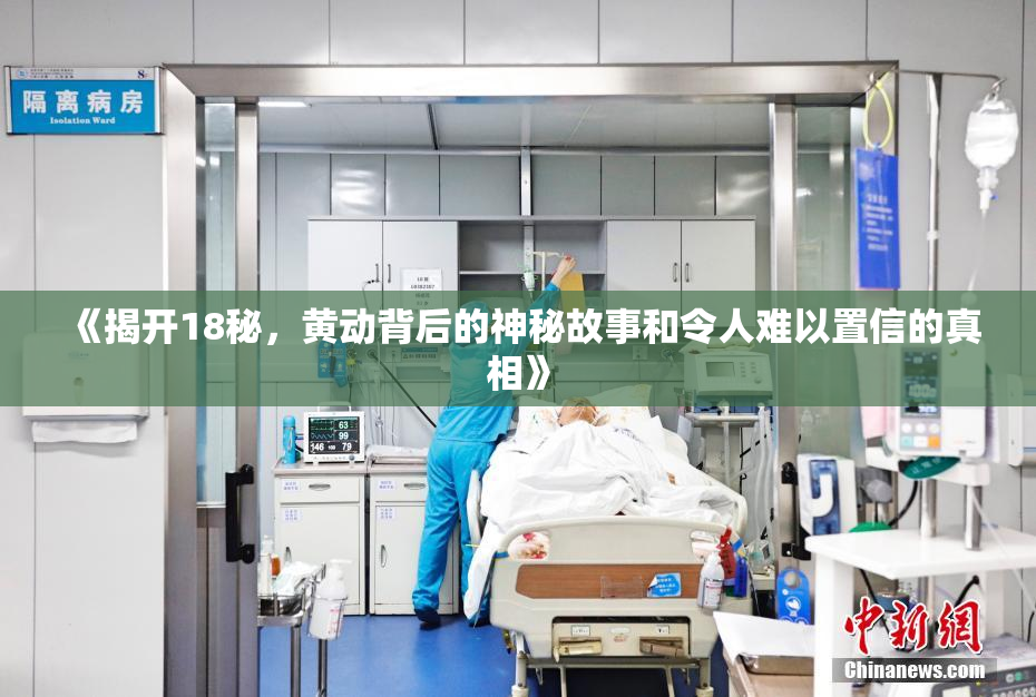 《揭开18秘，黄动背后的神秘故事和令人难以置信的真相》