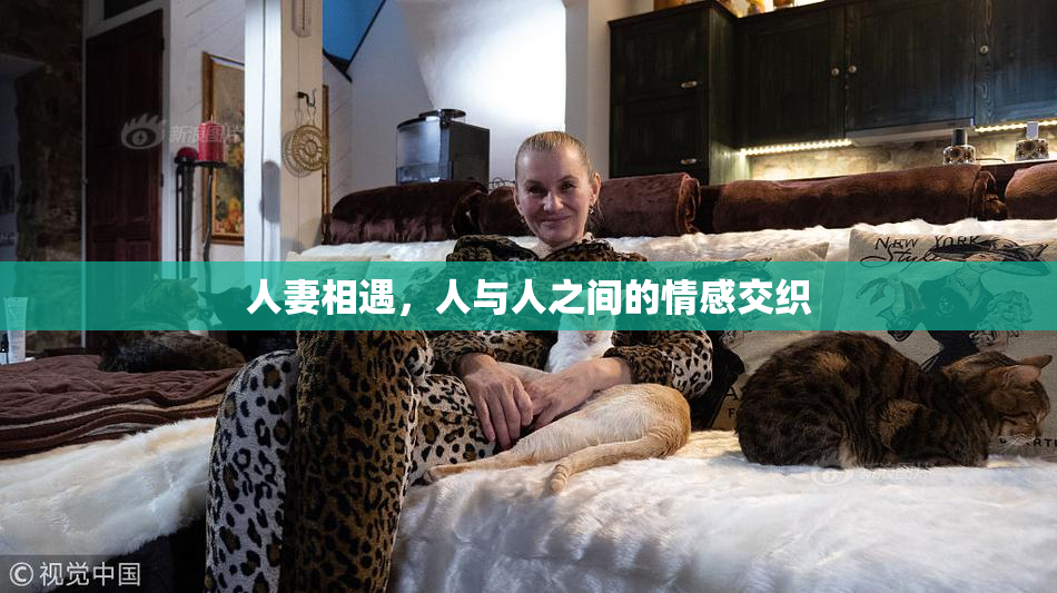 人妻相遇，人与人之间的情感交织