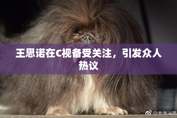 王思诺在C视备受关注，引发众人热议