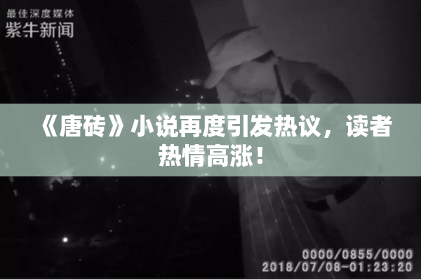 《唐砖》小说再度引发热议，读者热情高涨！