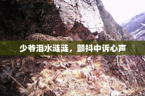 少爷泪水涟涟，颤抖中诉心声