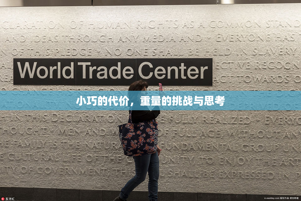 小巧的代价，重量的挑战与思考