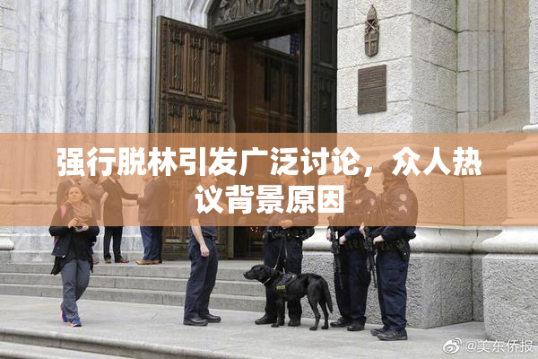强行脱林引发广泛讨论，众人热议背景原因