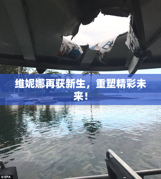 维妮娜再获新生，重塑精彩未来！