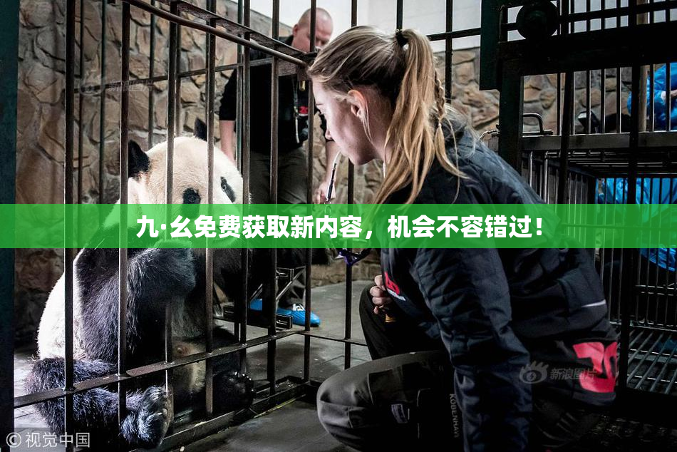 九·幺免费获取新内容，机会不容错过！