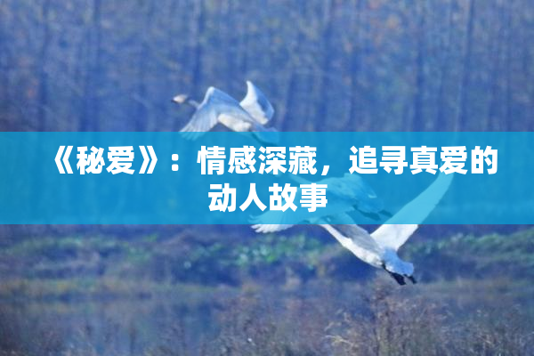 《秘爱》：情感深藏，追寻真爱的动人故事