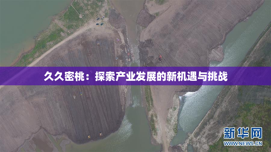 久久密桃：探索产业发展的新机遇与挑战