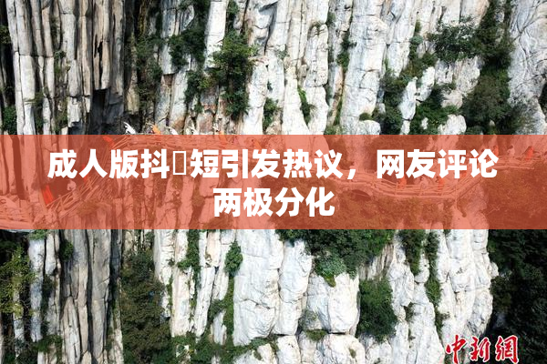 成人版抖抈短引发热议，网友评论两极分化