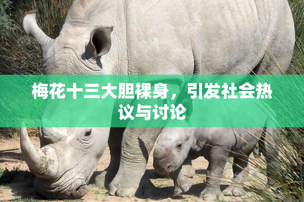 梅花十三大胆裸身，引发社会热议与讨论