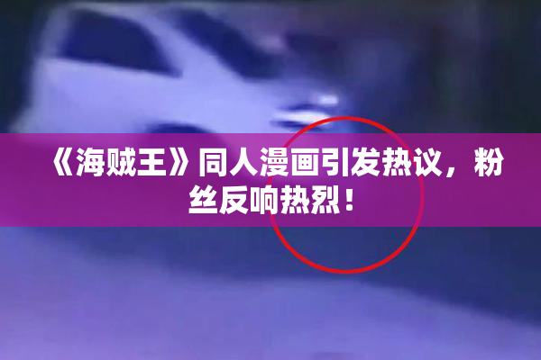 《海贼王》同人漫画引发热议，粉丝反响热烈！