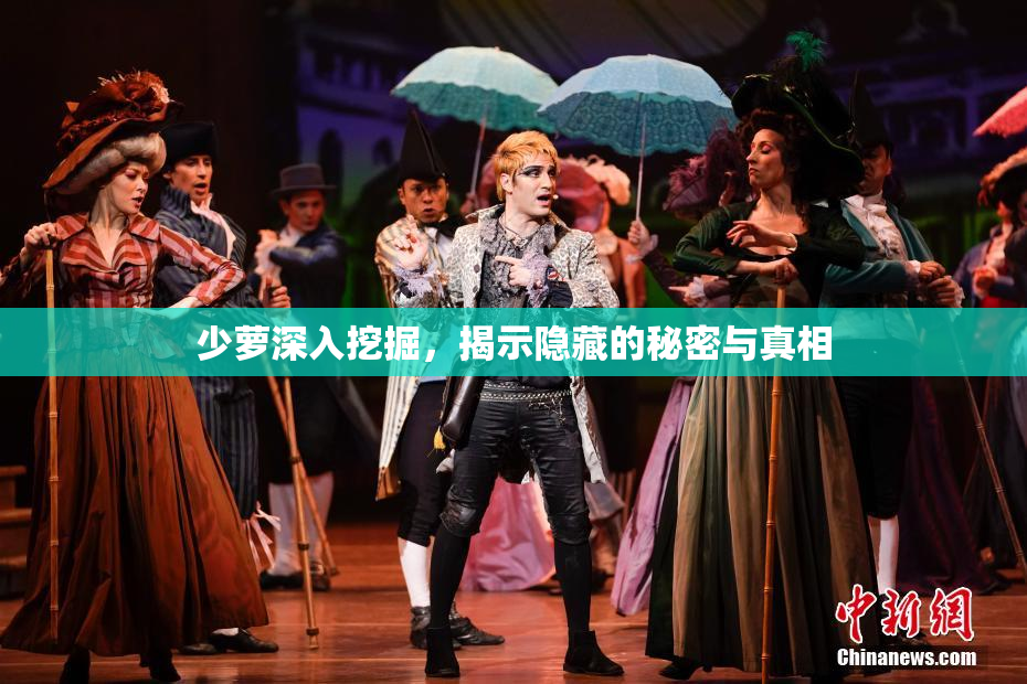 少萝深入挖掘，揭示隐藏的秘密与真相