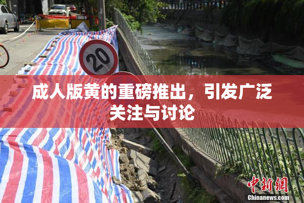 成人版黄的重磅推出，引发广泛关注与讨论