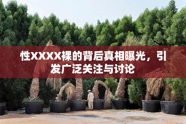 性XXXX裸的背后真相曝光，引发广泛关注与讨论