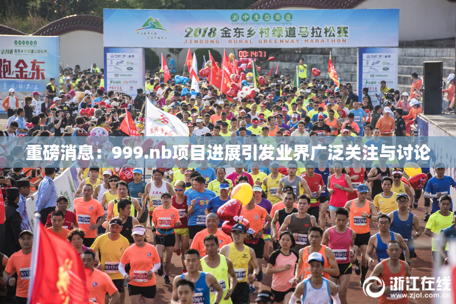 重磅消息：999.nb项目进展引发业界广泛关注与讨论