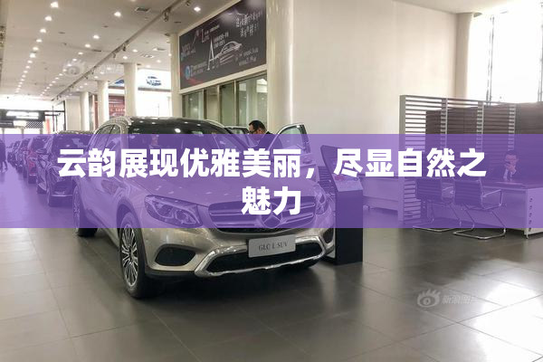 云韵展现优雅美丽，尽显自然之魅力