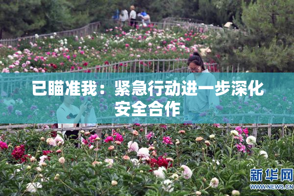 已瞄准我：紧急行动进一步深化安全合作