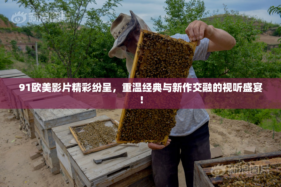 91欧美影片精彩纷呈，重温经典与新作交融的视听盛宴！