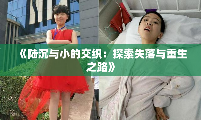 《陆沉与小的交织：探索失落与重生之路》