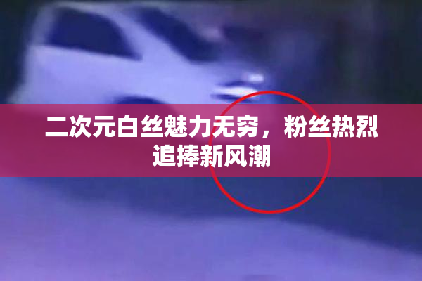 二次元白丝魅力无穷，粉丝热烈追捧新风潮