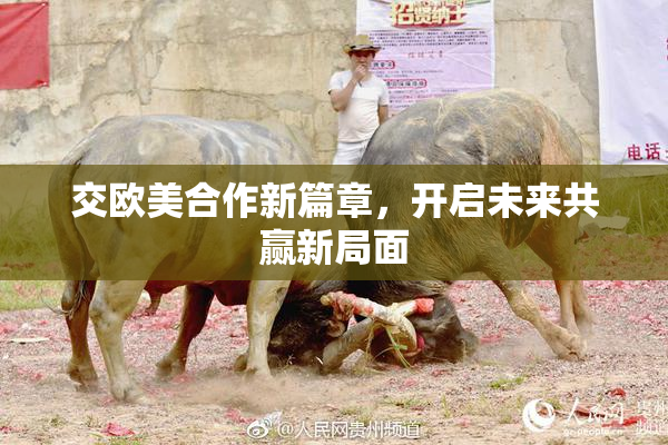 交欧美合作新篇章，开启未来共赢新局面